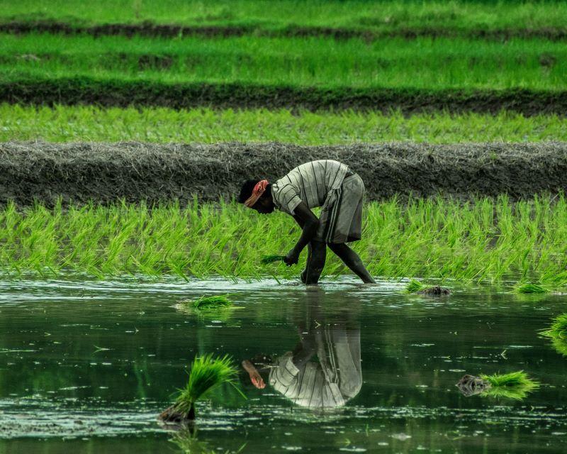  Programs for Agriculture & Farming