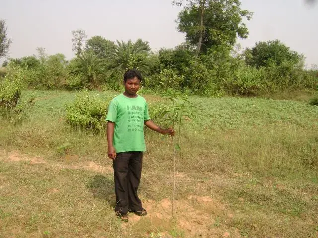 Sustainability